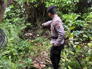 Tempat penemuan lokasi penemuan mayat bayi perempuan