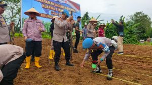 Polres Kotabaru melaksanakan kegiatan Penanaman Jagung Serentak Kuartal I Tahun 2026