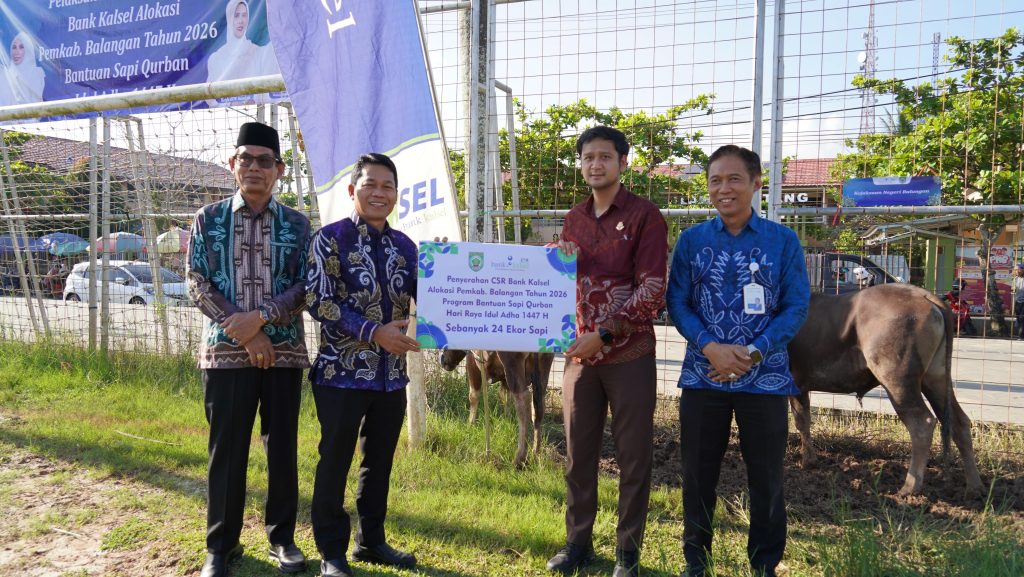 Bupati Balangan, Abdul Hadi menyerahkan secara simbolis bantuan Corporate Social Responsibility (CSR) Bank Kalsel berupa sapi kurban - Foto: Mc.Balangan