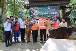 Penyaluran hewan kurban oleh PT Indocement
