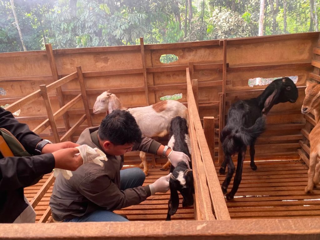 DKP3 Balangan melakukan surveilans dan pelayanan kesehatan hewan di Kecamatan Paringin Selatan dan Paringin, Kamis (23/7/2026), - Foto: Mc.Balangan